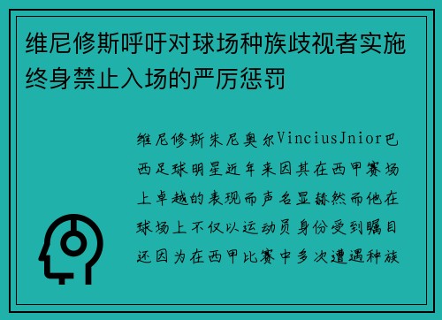 维尼修斯呼吁对球场种族歧视者实施终身禁止入场的严厉惩罚